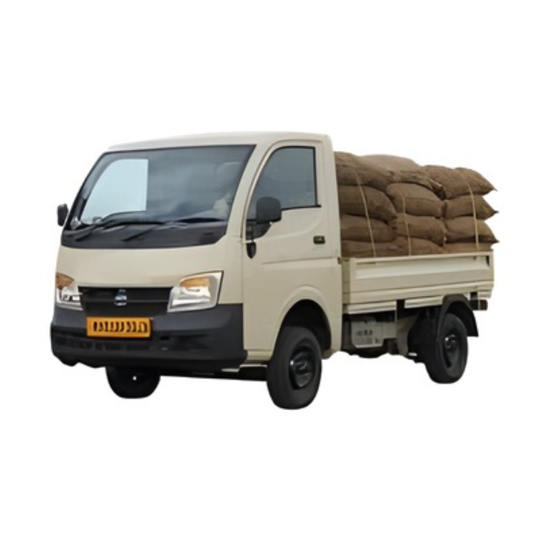 Tata ACE