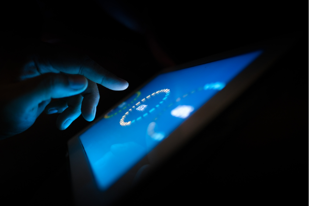 Window Screens Mosquito Net Gurugram